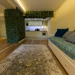 Apartament Carol Sinaia